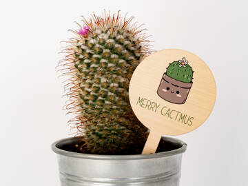 Picture of Merry Cactmus Christmas Pot Plant Stake
