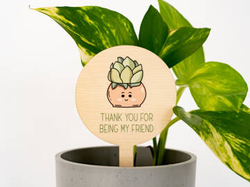Picture of Thank you for being my friend Pot Plant Stake