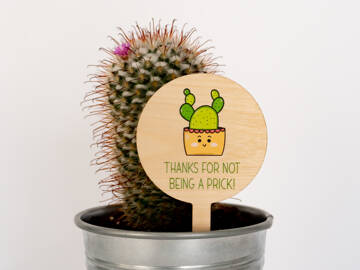 Picture of Thanks for not being a ... Father's Day Pot Plant Stake